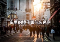車?yán)锏溺R子叫什么名字
