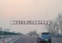 哪種違法犯罪行為將被終身禁駕？